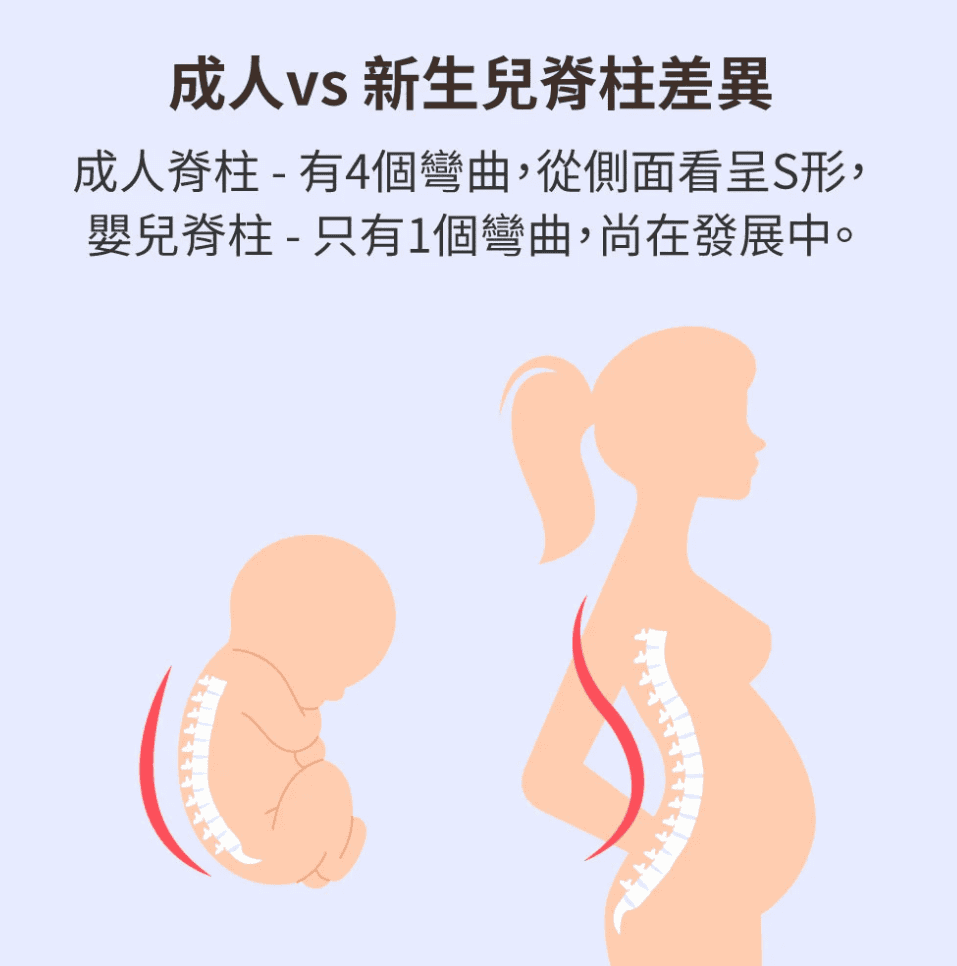 嬰兒幾個月可以用背帶-圖片3